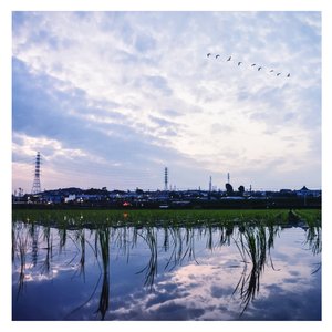 国产女人被强行暴菊视频
